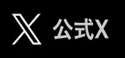 X公式