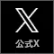 X公式